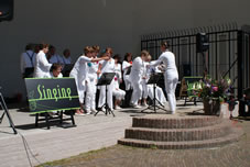 Uitvoering 2013 Schagen Muziektuin (18).jpg